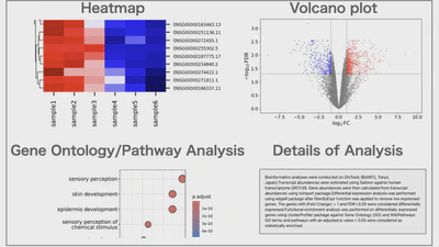 RNA-Seq Analysis Pipeline: From Raw Data to Functional Enrichment featured image